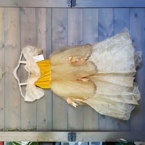 Belle Princess Dress 10-11y